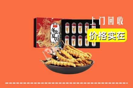 成都市锦江回收冬虫夏草